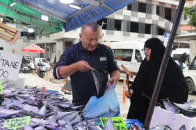 Rize tezgahlarında bollaşan palamudun tanesi 50 ile 100 liradan satılıyor