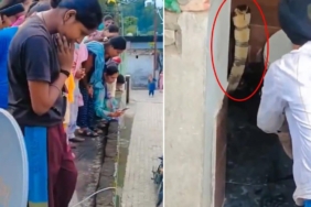 Hindistan'da Bir Evin Klozetinden Çıkan Kobra Yılanı Paniğe Neden Oldu